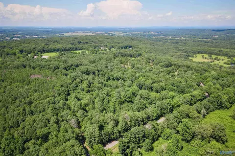 5 Acres Part A Willow Bend Rd, Decatur, AL 35603