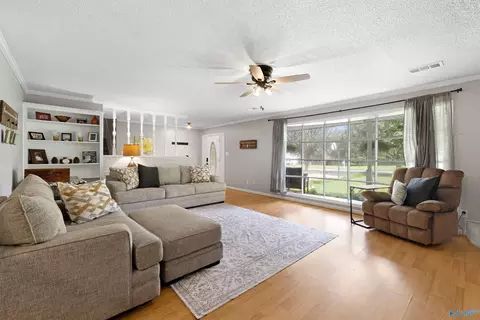Living - 128 Terry Ln, Trinity, AL 35673 photo 3 of 3