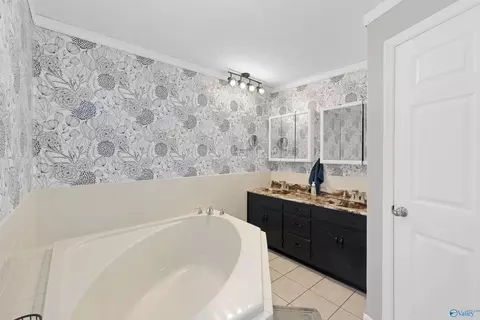Bath - 128 Terry Ln, Trinity, AL 35673 photo 4 of 5