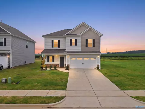 159 Story Ray Dr, New Market, AL 35761