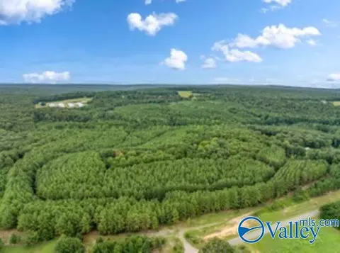 110 Acres Fischer Rd, Fort Payne, AL 35967