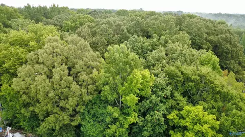 1 Acre Honea Rd, Hazel Green, AL 35750