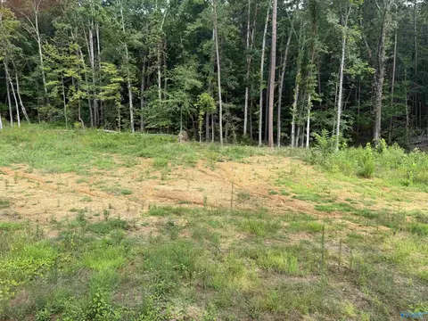 lot11 County Road 114, Scottsboro, AL 35769