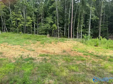 lot10 County Road 114, Scottsboro, AL 35769