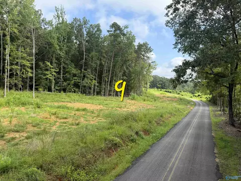 lot9 County Road 114, Scottsboro, AL 35769