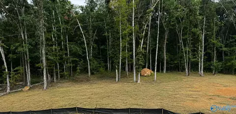 lot4 County Road 114, Scottsboro, AL 35769
