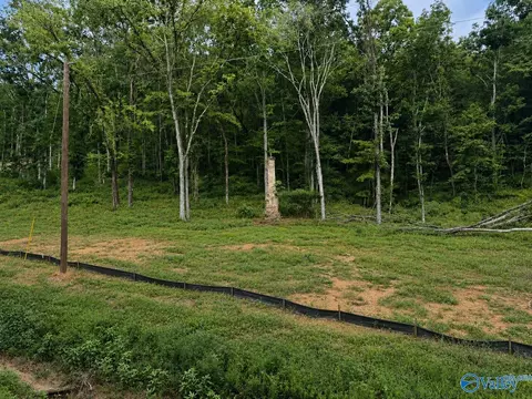 lot3 County Road 114, Scottsboro, AL 35769