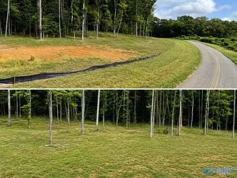 lot2 County Road 114, Scottsboro, AL 35769