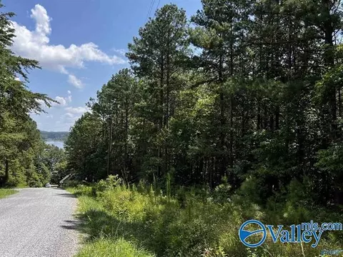 lot14 County Road 592, Leesburg, AL 35983