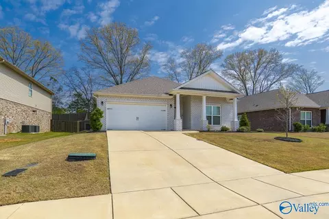 125 River Springs Ct, New Market, AL 35761