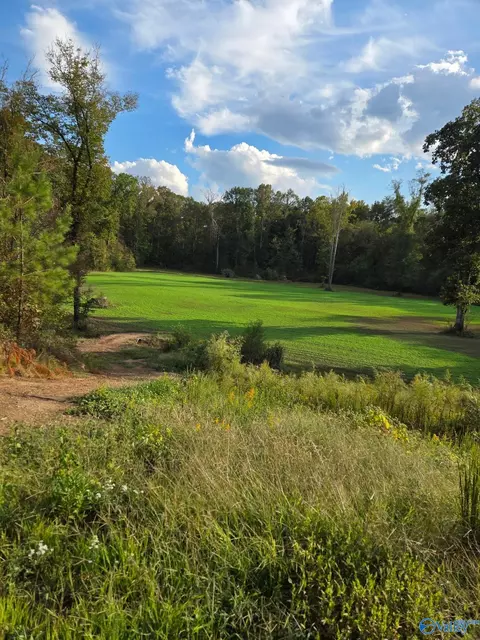 Other - 606 Red Eagle Rd, Ohatchee, AL 36271 photo 10 of 10
