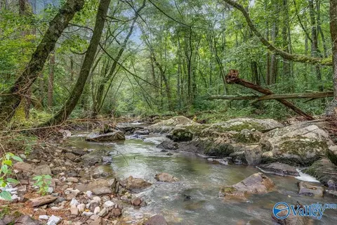 112 Acres County Road 431, Bryant, AL 35958