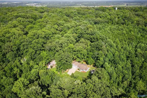 View/Area - 309 N Seneca Dr, Trinity, AL 35673 photo 1 of 1