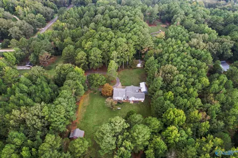 View/Area - 15080 Wright Rd, Athens, AL 35611 photo 4 of 5