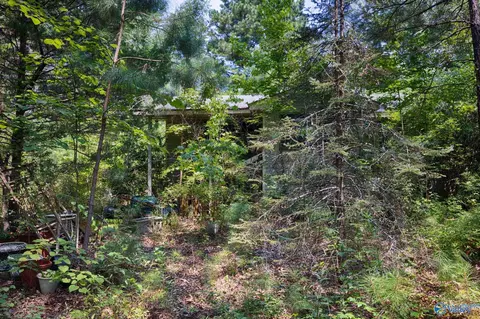 199 Williams Rd, Toney, AL 35773