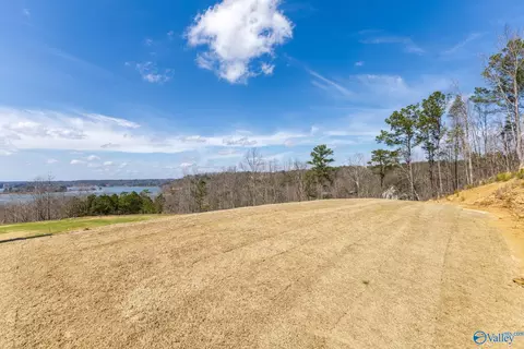 lot C6 County Road 913, Crane Hill, AL 35053
