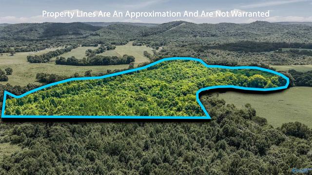 70 Acres County Road 283, Collinsville, AL 35961