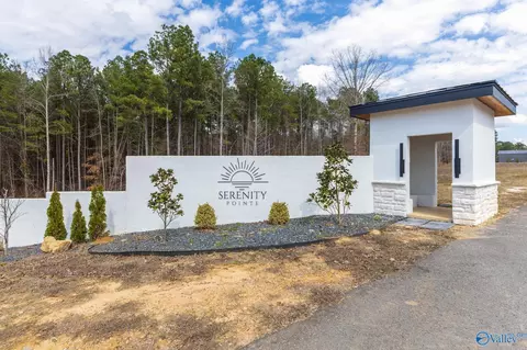 lot C9 County Road 913, Crane Hill, AL 35053