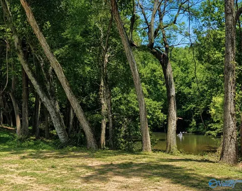 lot35 County Road 336, Piedmont, AL 36272
