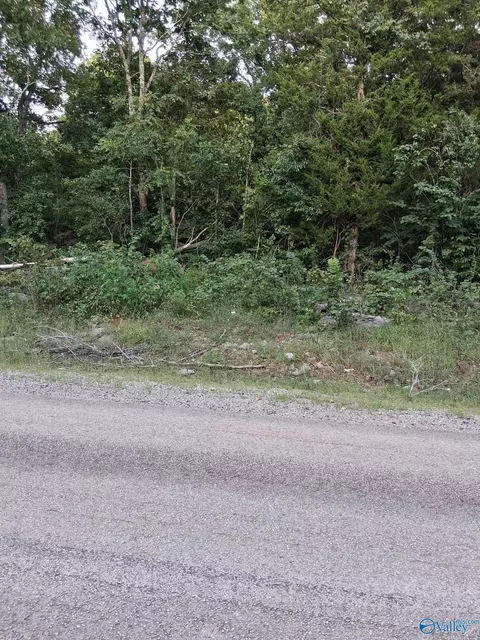 2 0 Acres County Road 84, Danville, AL 35619