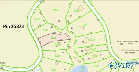 lot41 Sipsey Pines Rd, Arley, AL 35541