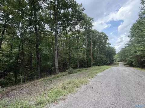 lot33 34 Woodfern Dr, Scottsboro, AL 35678