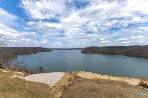 lot9 County Road 446, Crane Hill, AL 35053