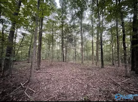 418 Manchester Dr, Guntersville, AL 35976