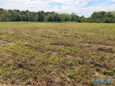 lot15 County Road 39, Piedmont, AL 36272