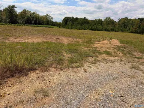 lot16 County Road 39, Piedmont, AL 36272