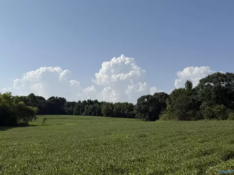 18 6 Acres - Highway 431, Boaz, AL 35956