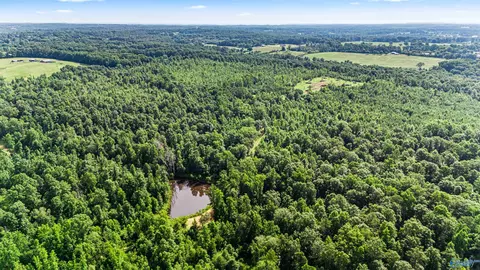 284 Acres Eva Rd, Vinemont, AL 35179
