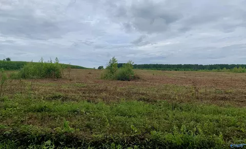 7 County Road 508, Fort Payne, AL 35968