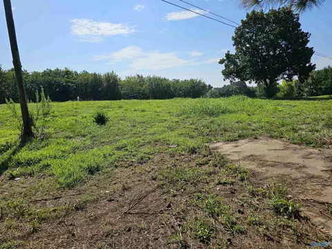 514 Mockingbird Rd, Arab, AL 35016 photo 10