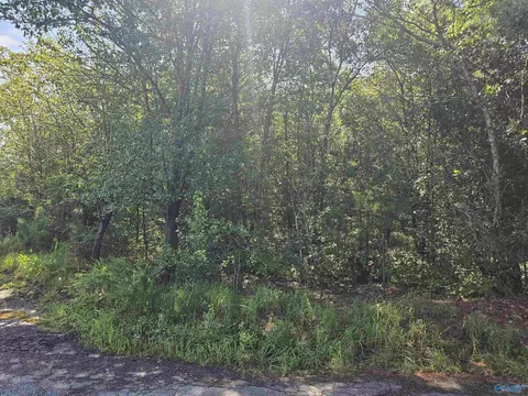 514 Mockingbird Rd, Arab, AL 35016 photo 24