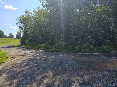 514 Mockingbird Rd, Arab, AL 35016 photo 25