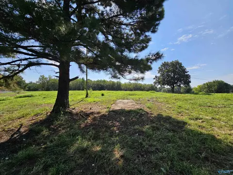 514 Mockingbird Rd, Arab, AL 35016 photo 11