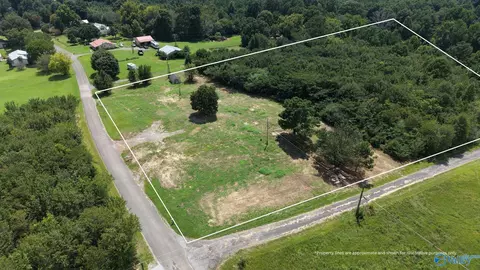 514 Mockingbird Rd, Arab, AL 35016 photo 4