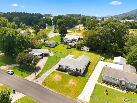 View/Area - 103 Hendrix St, Oneonta, AL 35121 photo 3 of 5