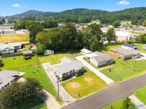 View/Area - 103 Hendrix St, Oneonta, AL 35121 photo 2 of 5