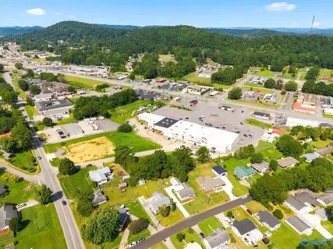 View/Area - 103 Hendrix St, Oneonta, AL 35121 photo 5 of 5