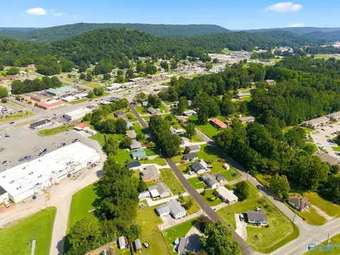 View/Area - 103 Hendrix St, Oneonta, AL 35121 photo 4 of 5