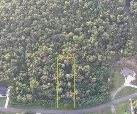 166 Lookout Mountain Dr, Scottsboro, AL 35769