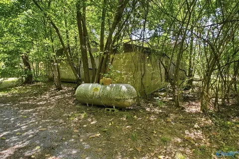 Exterior - 710 County Road 317, Trinity, AL 35673 photo 6 of 7