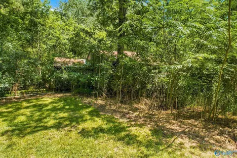 Exterior - 710 County Road 317, Trinity, AL 35673 photo 7 of 7