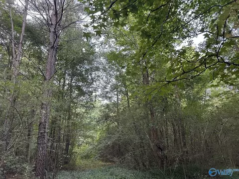 3467 Skyball Rd, Blountsville, AL 35031
