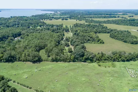 View/Area - 15344 Wright Rd, Athens, AL 35611 photo 2 of 8