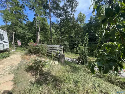 797 Dripping Rock Rd, Piedmont, AL 36272