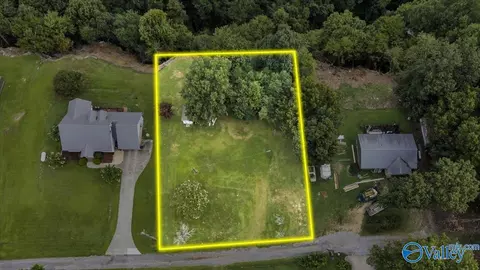 lot County Road 223, Dutton, AL 35744 photo 9
