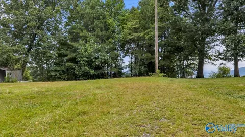 lot County Road 223, Dutton, AL 35744 photo 6